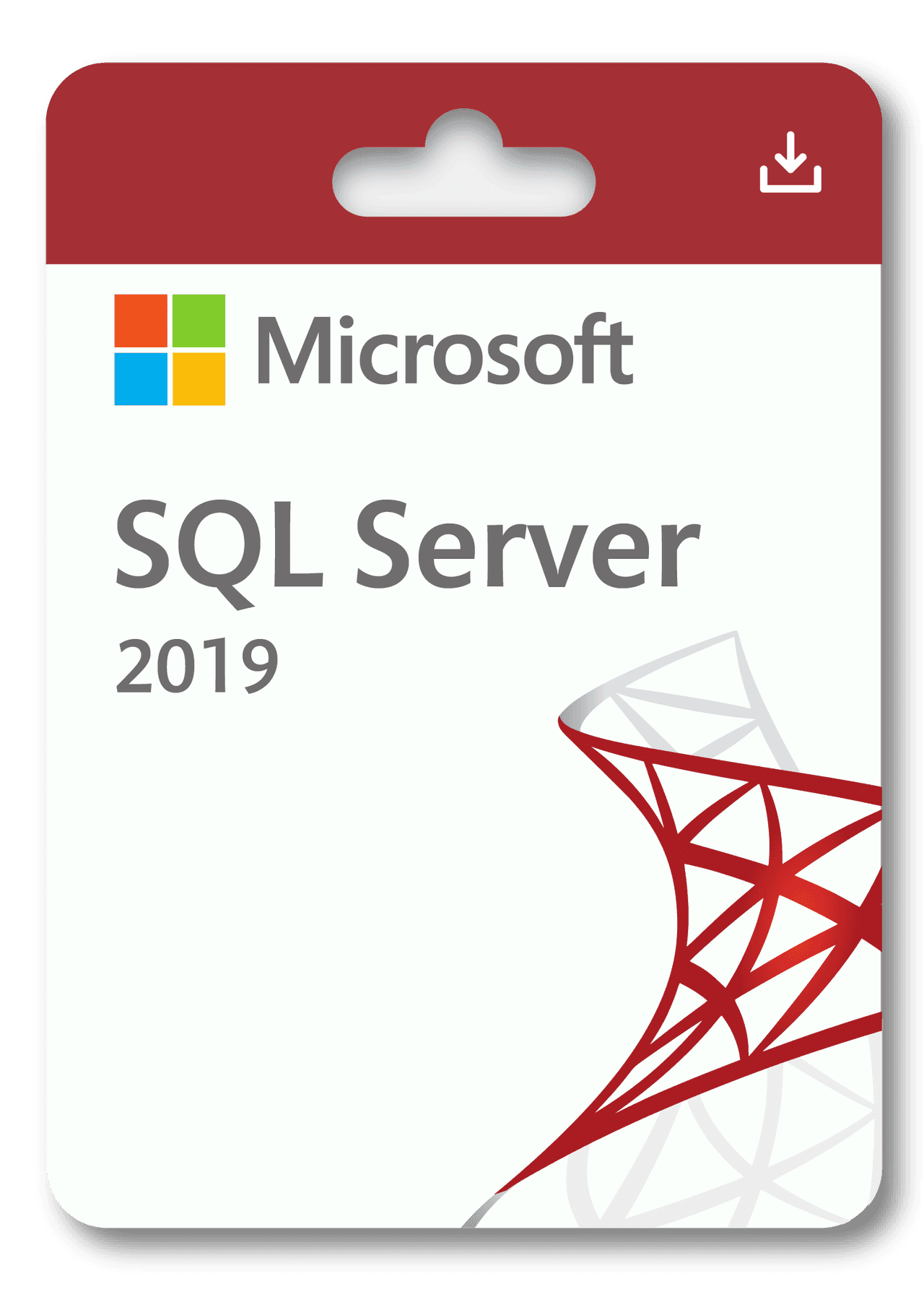 Microsoft SQL Server 2019 Standard - Image 1